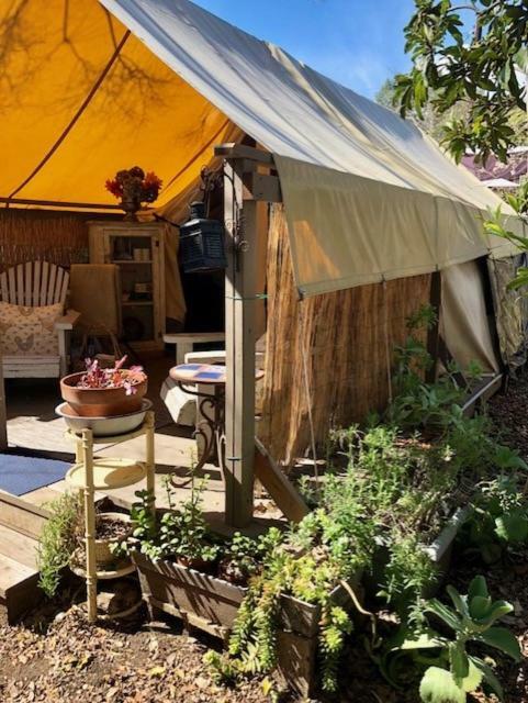 فندق La Boheme Living لوس أنجلوس المظهر الخارجي الصورة